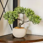 Elbau Uni Und Klinik Nah * Magdeburg