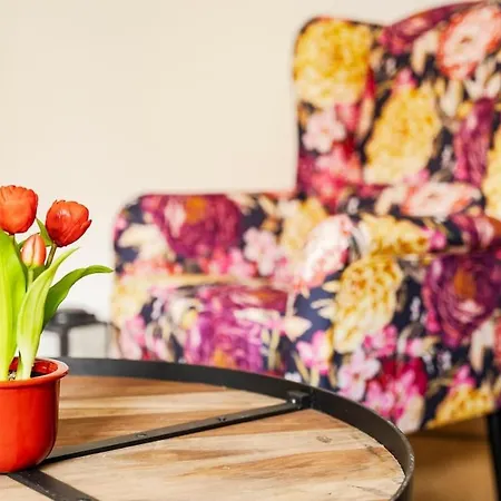 Elbau Uni Und Klinik Nah