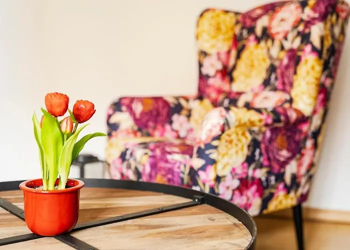 Elbau Uni Und Klinik Nah