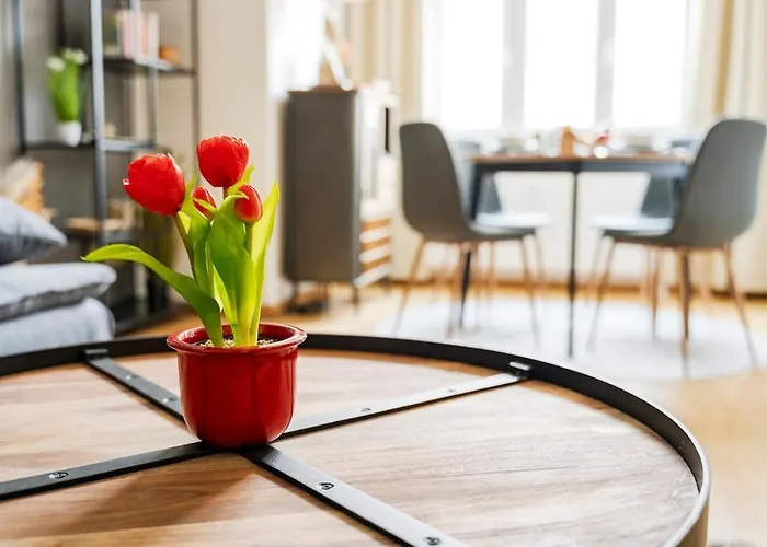 Apartment Elbau Uni Und Klinik Nah Magdeburg